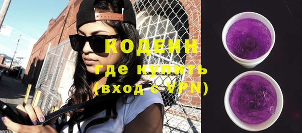 метадон Богданович