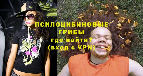 ешки Алексин