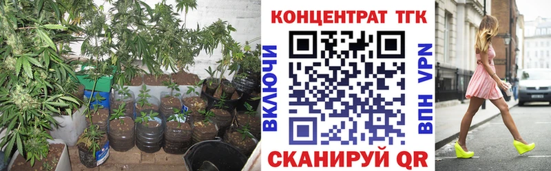 где купить наркоту  Красный Кут  ТГК THC oil 